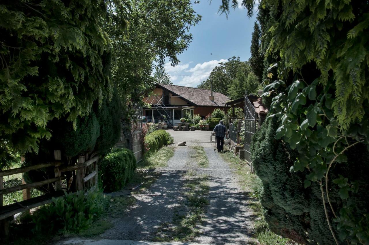 La Locanda Degli Elfi Viggianello Dış mekan fotoğraf